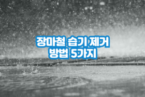 ☂️장마철 곰팡이·냄새 잡는 습기 제거 꿀팁 5가지