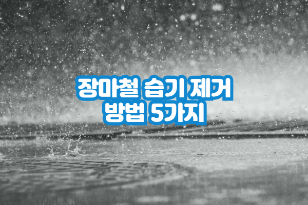 ☂️장마철 곰팡이·냄새 잡는 습기 제거 꿀팁 5가지