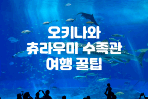 오키나와 츄라우미 수족관 여행 꿀팁