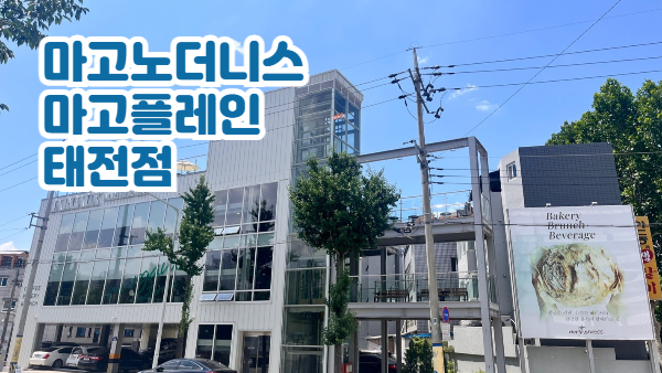 대구 칠곡 마고노더니스 마고플레인 태전점｜브런치와 빵 맛집