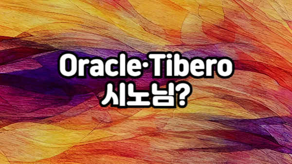 시노님? Oracle & Tibero에서 테이블·뷰 접근을 이렇게 쉽게!