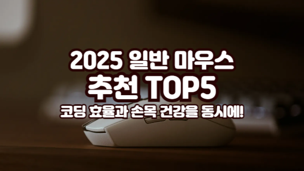 코딩 효율과 손목 건강을 동시에! 2025 일반 마우스 추천 TOP5