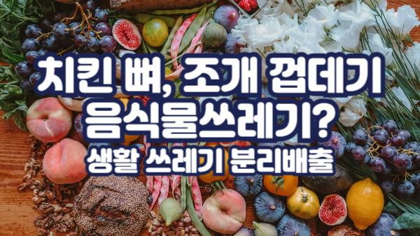 치킨 뼈, 조개 껍데기 음식물쓰레기 맞을까?｜헷갈리는 생활 쓰레기 분리배출