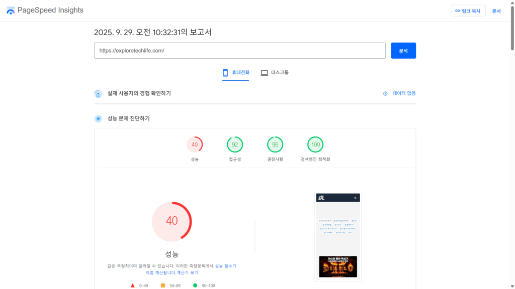 PageSpeed Insights 분석 웹페이지