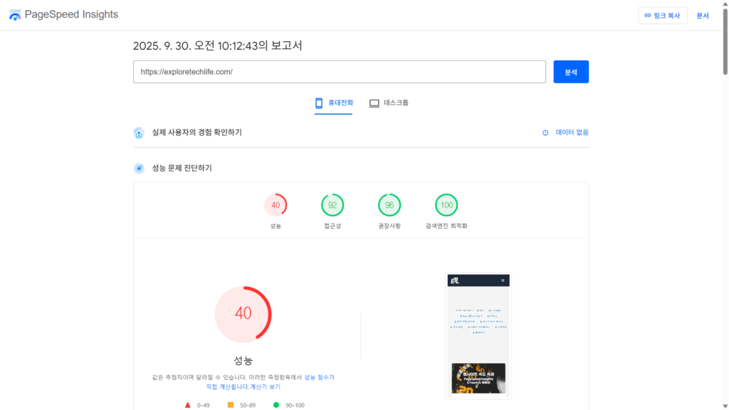 PageSpeed Insights - FID 결과화면