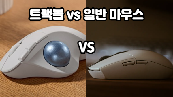트랙볼 vs 일반 마우스 비교｜웹 개발자 필수 선택 가이드 2025