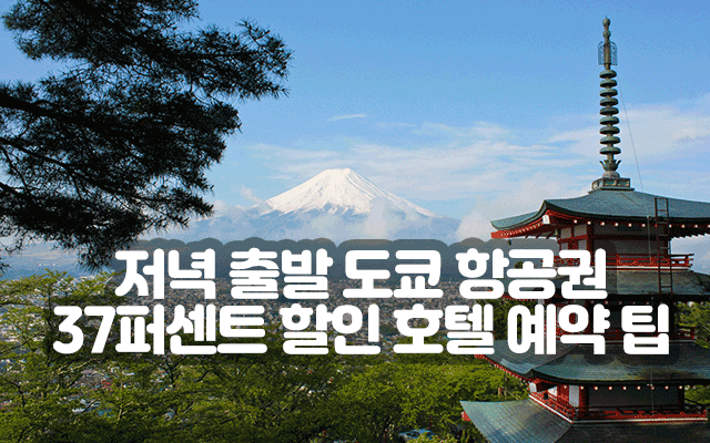 저녁 출발 도쿄 항공권 37퍼센트 할인 호텔 예약 팁