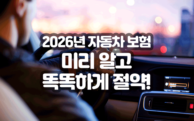 2026년 자동차 보험 미리 알고 똑똑하게 절약!