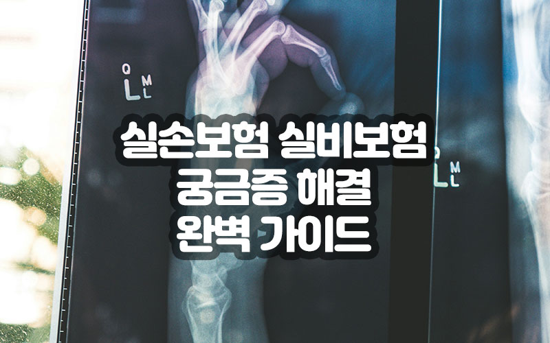 실손보험 실비보험 궁금증 해결 완벽 가이드