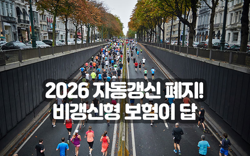 2026 자동갱신 폐지! 비갱신형 보험이 답